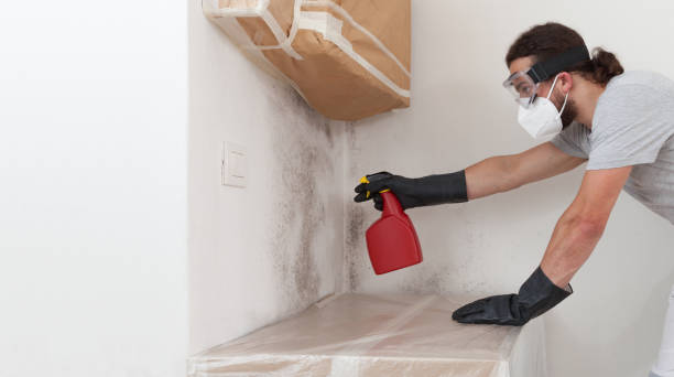Professional Mold Remediation technician working in St. James, NY