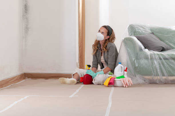 Reliable Mold Remediation contractor in St. James, NY by 24 Hour Mold Removal